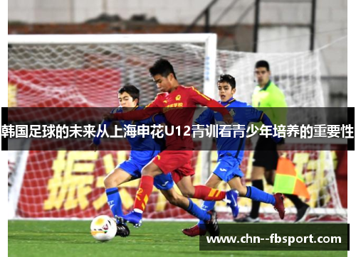 韩国足球的未来从上海申花U12青训看青少年培养的重要性