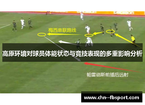 高原环境对球员体能状态与竞技表现的多重影响分析
