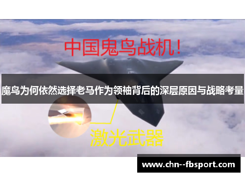 魔鸟为何依然选择老马作为领袖背后的深层原因与战略考量
