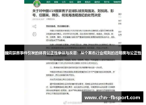 魏震禁赛事件引发的体育公正性争议与反思：从个案看行业规则的透明度与公正性